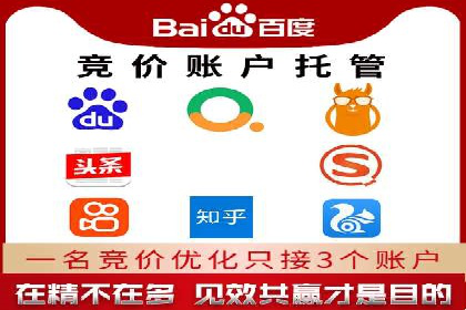 某电商平台的SEM推广实战经验